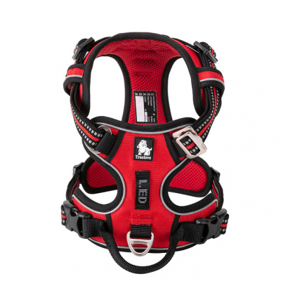 Шлейка прогулочная с ручкой Classic, Truelove