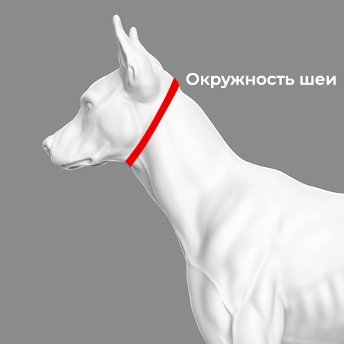sheya_sobaki.jpg sheya_sobaki.jpg
