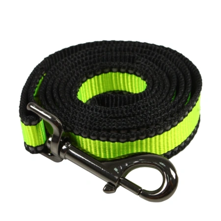 Поводок нейлоновый со светоотражением, 20 мм, Look, Rich Breed