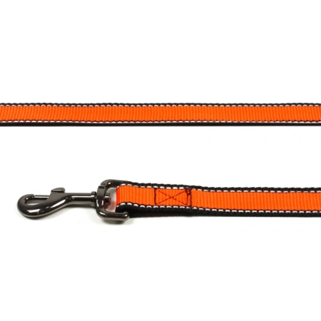 Поводок нейлоновый со светоотражением, 20 мм, Look, Rich Breed