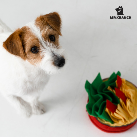 купить Нюхательная игрушка Пицца, размер 18x18 см, Mr.Kranch