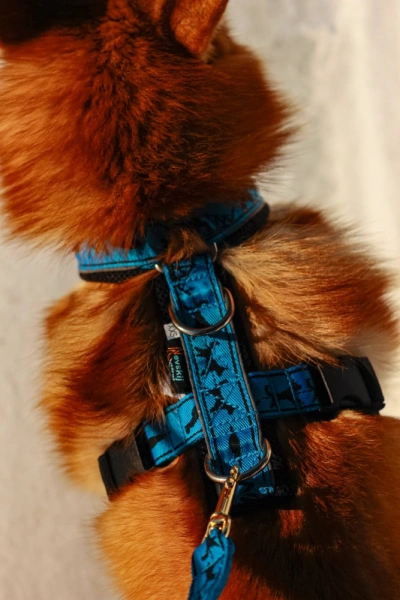 Купить Шлейка универсальная Невский Ангел с 2 фастексами (подкладка сеточка) со светоотражением для собак с доставкой по России