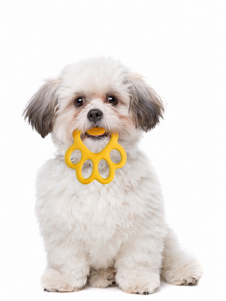 Игрушка для собак BAMA PET ORMA