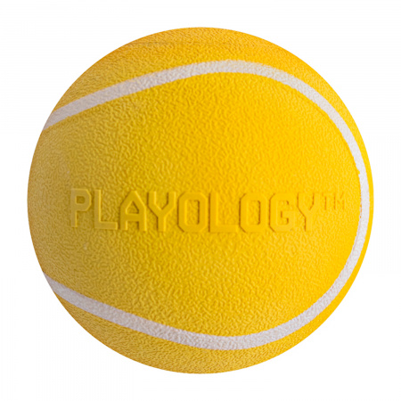 Жевательный мяч с пищалкой и ароматом, SQUEAKY CHEW BALL 6 см, Playology