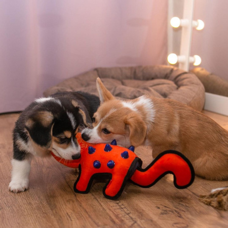 купить Скунс 24 см DURASPIKES, GiGwi