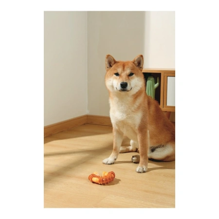 купить Кость круглая Carnivore со вкусом бекона 10,8 см, M-Pets