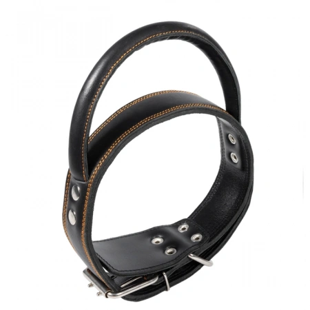 Купить Ошейник кожаный двойной с круглой ручкой 45*760 мм Gamma для собак с доставкой по России.