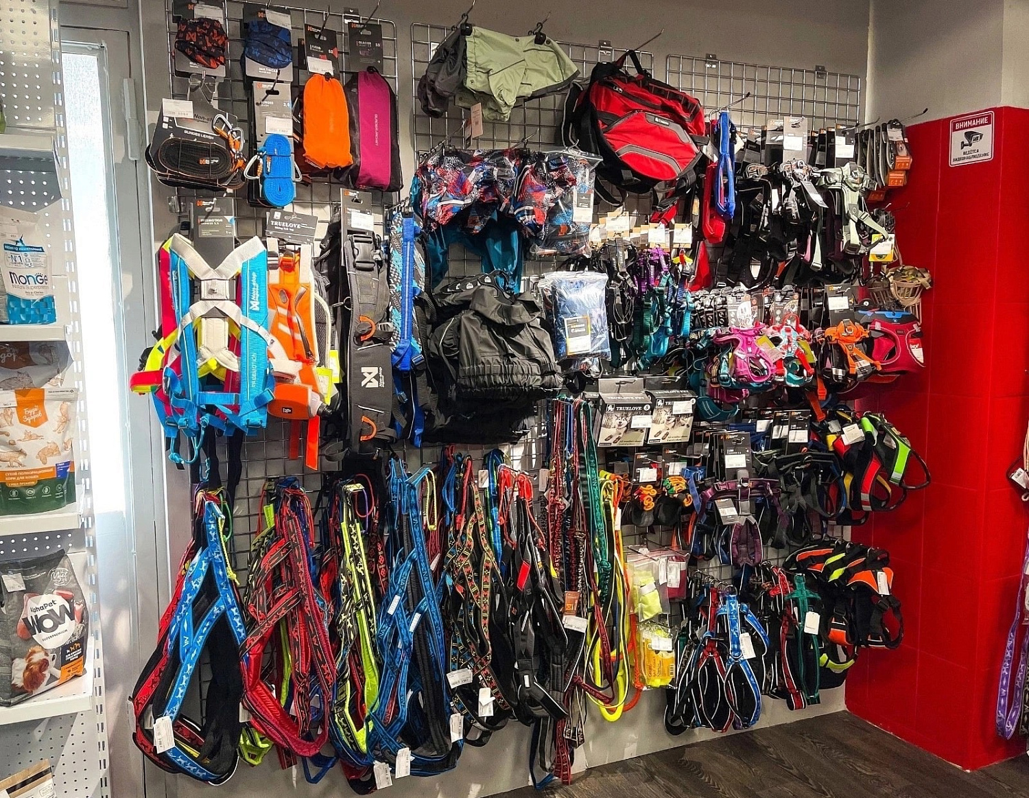 Наш сайт начинает свою работу!