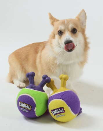 купить Мяч теннисный JUMBALL c ручками зеленый 18 см GiGwi