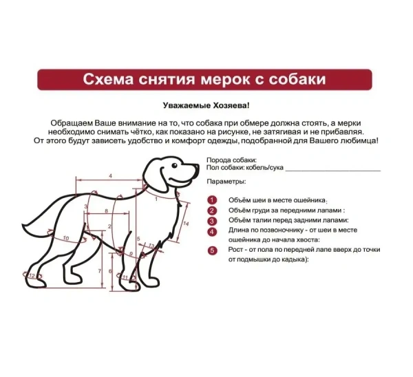 Комбинезон синтепоновый Такса средняя (сука), ТУЗИК купить с доставкой по России