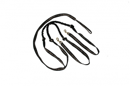 Потяг на 2 собаки Невский Ангел