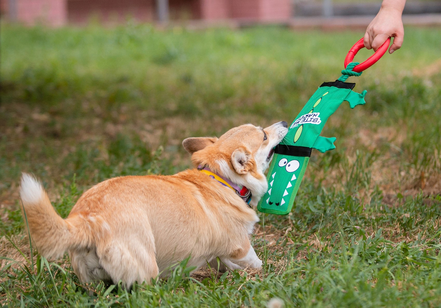 Крокодил на веревке с ручкой с пищалкой BITE ME HARD 51 см GiGwi