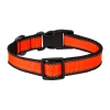 Ошейник нейлоновый светоотражающий, на фастексе, LOOK, Rich Breed
