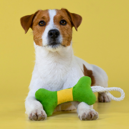 Косточка с канатом 31 см, Mr.Kranch