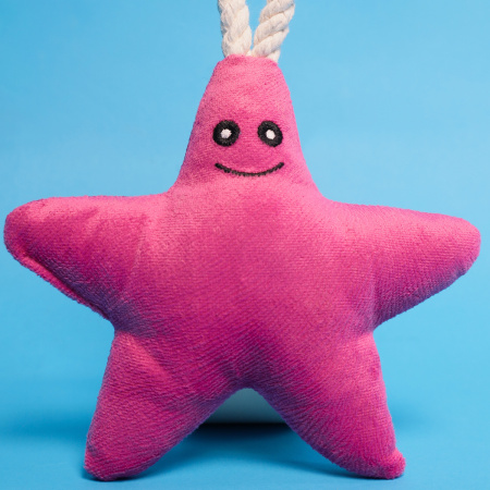 Звездочка с канатом и пищалкой 26 см, Mr.Kranch