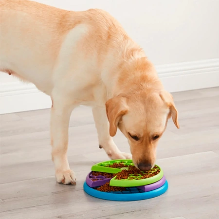 купить Игра-головоломка для собак Миска для медленного поедания, 2 (средний) уровень сложности, Nina Ottosson Lickin'Layers