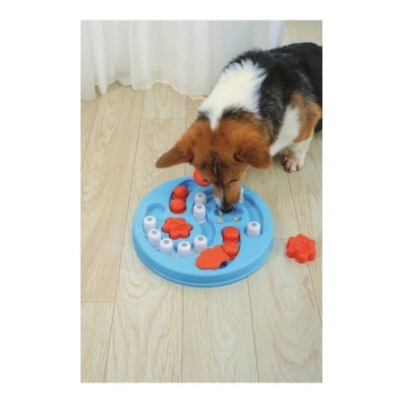 купить Головоломка для собак ИГРЫ МОЗГА EINSTEIN Тяжелый уровень, M-Pets