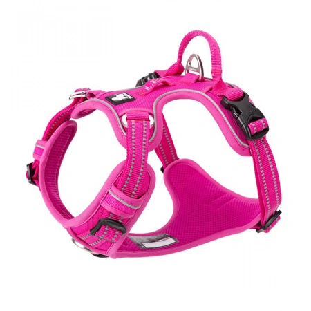 Шлейка прогулочная с ручкой Classic, Truelove