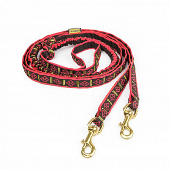 Потяг на 2 собаки MagWay