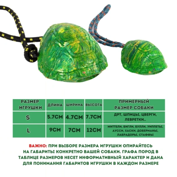 Панцирь черепахи большой 12 см, MagWay