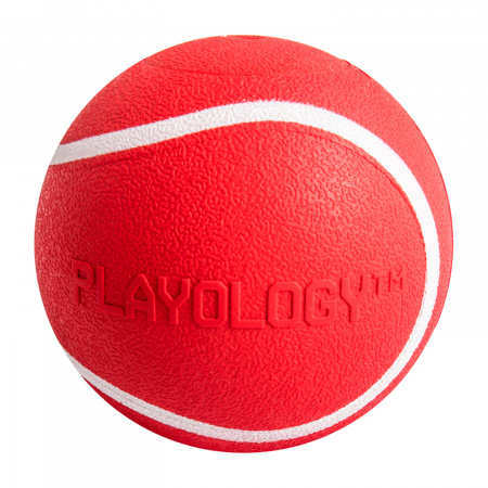 Жевательный мяч с пищалкой и ароматом, SQUEAKY CHEW BALL 8 см, Playology