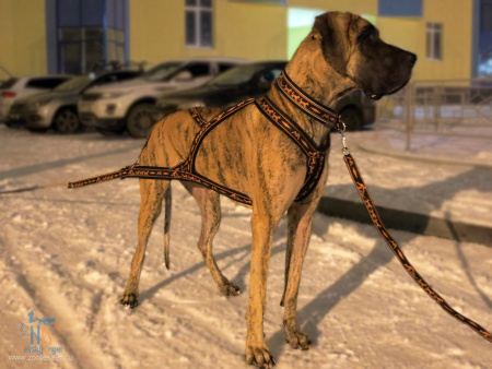 Купить Шлейка грузовая для вейтпуллинга Невский Ангел (подкладка сеточка) для собак с доставкой по России