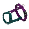 Шлейка прогулочная регулируемая Canis Purpureus, Sobakin