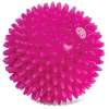 купить Мяч игольчатый из винила с пищалкой, 7 см Triol