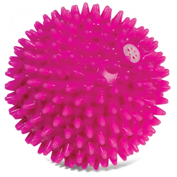 Мяч игольчатый из винила с пищалкой, 7 см Triol