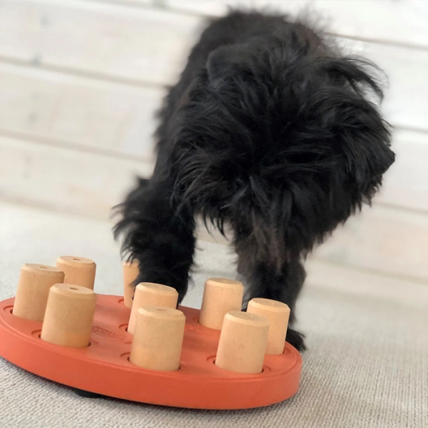 Игра-головоломка для собак Умная собака Бочонки, 1 (начинающий) уровень сложности, Nina Ottosson Smart