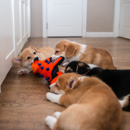 купить Скунс 24 см DURASPIKES, GiGwi