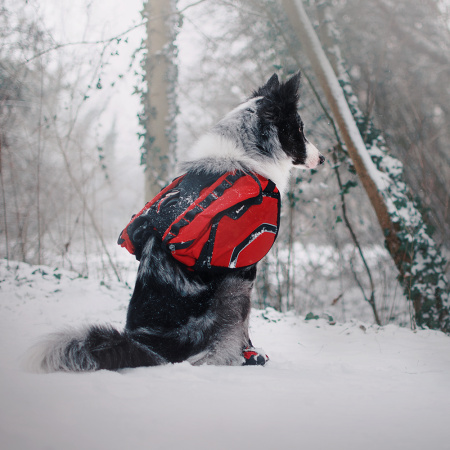 Купить Рюкзак для собаки Truelove с доставкой по России