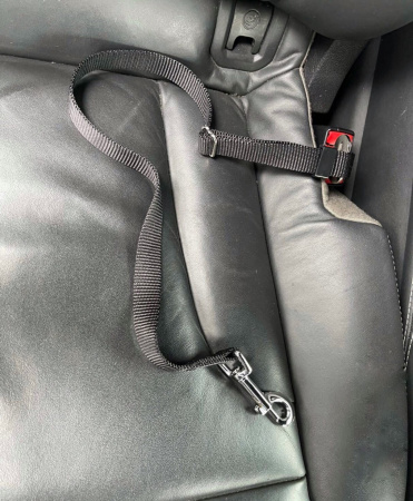 V.I.Pet Ремень безопасности 25 мм V.I.Pet Ремень безопасности 25 мм