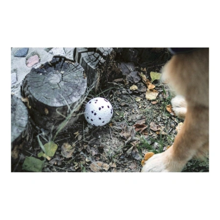 купить Мяч Блум для собак 7 см, M-Pets купить Мяч Блум для собак 7 см, M-Pets