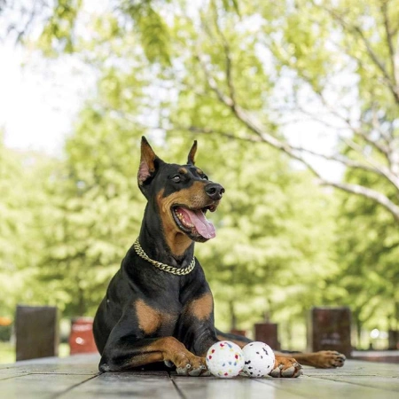 купить Мяч Блум для собак 7 см, M-Pets купить Мяч Блум для собак 7 см, M-Pets