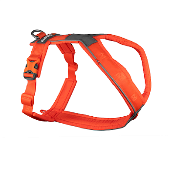 Купить Шлейка прогулочная 5.0 Non-stop для собак с доставкой по России