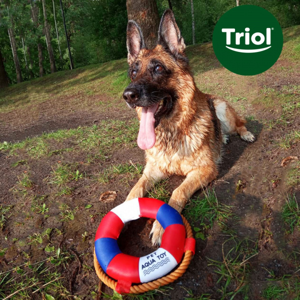 Cпасательный круг AQUA 25 см Triol