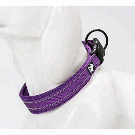 Ошейник с фастексом на мягкой подкладке Classic, Truelove