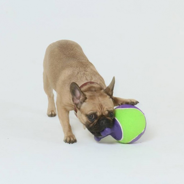 Мяч теннисный JUMBALL c ручками зеленый 18 см GiGwi