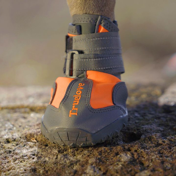 Обувь для собак Truelove купить с доставкой по России