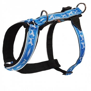 Купить Шлейка универсальная Невский Ангел с 1 фастексом (подкладка сеточка) со светоотражением для собак с доставкой по России