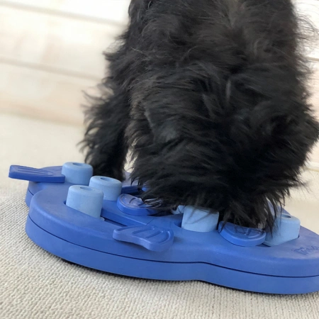 купить Игра-головоломка для собак Скрывай и сдвигай, 2 (средний) уровень сложности, Nina Ottosson Hide N Slide