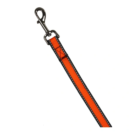 Поводок нейлоновый со светоотражением, 20 мм, Look, Rich Breed