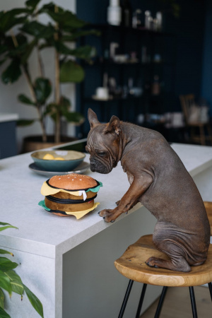 купить Гамбургер для тритсов с пищалкой TRICK'O'TREATS 18 см GiGwi