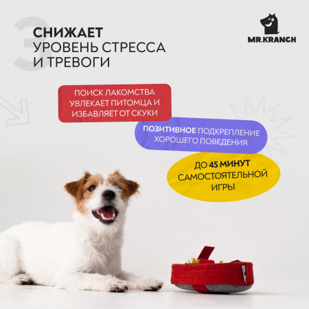 купить Нюхательная игрушка Пицца, размер 18x18 см, Mr.Kranch