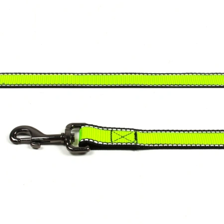 Поводок нейлоновый со светоотражением, 20 мм, Look, Rich Breed