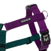 Шлейка прогулочная регулируемая Canis Purpureus, Sobakin
