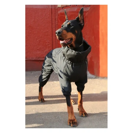 Костюм-дождевик Cross OUTDOOR Triol