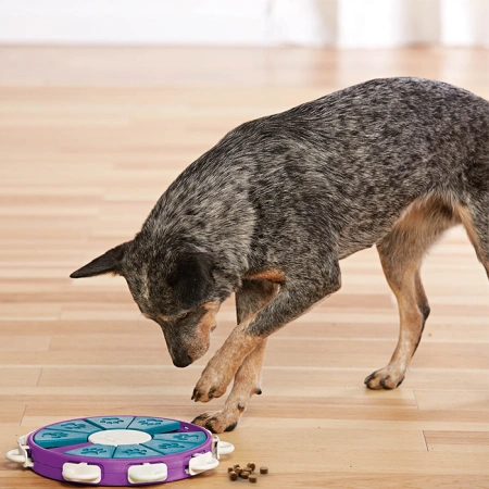 купить Игра-головоломка для собак Твистер, 3 (продвинутый) уровень сложности, Nina Ottosson Twister