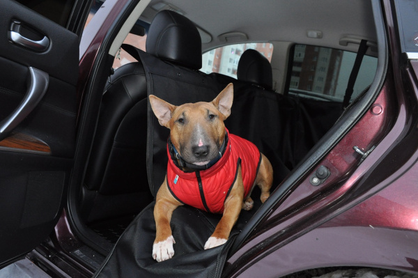 Купить Автогамак усиленный Томас "Премиум" для собак с доставкой по России